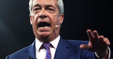 More former Tory ministers will be joining Reform UK following the defection of Nadine Dorries , according to Nigel Farage