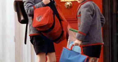 A former royal chef has revealed the secret ingredient he put into Prince William and Prince Harry's chocolate brownies when they were children (pictured in 1990)