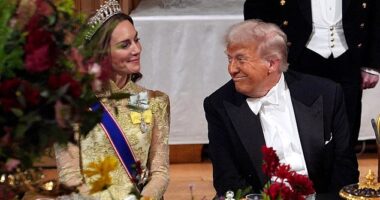 The Prince and Princess of Wales stepped forth to do the initial welcome, as tradition dictates. At a sumptuous state dinner, Catherine, Princess of Wales, dialled her charm-o-meter up to 'unprecedented' levels