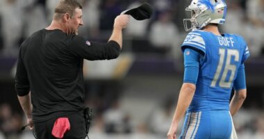 2025 NFC Northern Division Preview