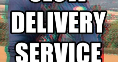 34 Startup Ideas Too Absurd To Exist, So I Built Them Anyway