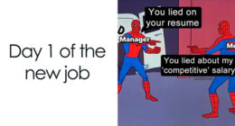 80 Job Listings With Requirements So Ridiculous People Walked Away Immediately (New Pics)
