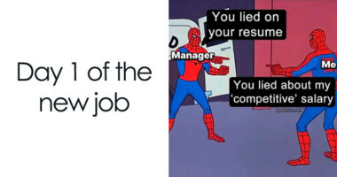 80 Job Listings With Requirements So Ridiculous People Walked Away Immediately (New Pics)