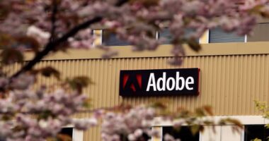 Adobe’s earnings beat shows investors that AI is finally paying off, and the stock rises