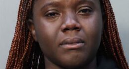 Alvina Omisri Agba, 23, from Luton, England, was arrested on Tuesday after she allegedly took a young boy from his mother and refused to give him back