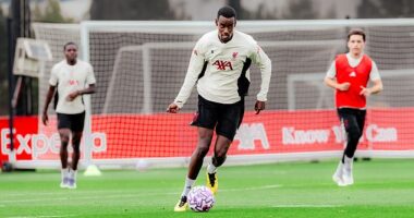 Alexander Isak has taken part in his first training session with Liverpool since sealing his British record transfer