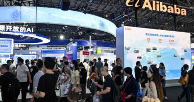 Alibaba stock is flying higher, two days after Cathie Wood’s first purchase since 2021