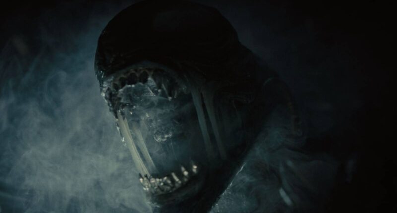 Alien: Romulus Sequel Loses Director Fede Álvarez