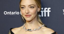 Amanda Seyfried has shared cryptic social media posts following the death of Charlie Kirk