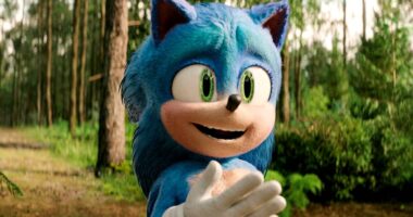 Amy Rose's Origin And Confusing Names Explained
