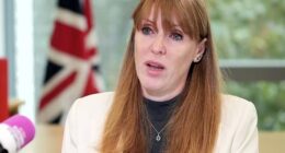 In a tearful TV interview, a 'devastated' Angela Rayner revealed she has referred herself to an ethics watchdog to investigate whether she had broken ministerial rules