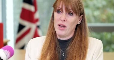 In a tearful TV interview, a 'devastated' Angela Rayner revealed she has referred herself to an ethics watchdog to investigate whether she had broken ministerial rules