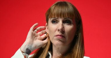 Angela Rayner quits Government after sleaze report into her tax affairs: Live updates