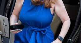 The sleaze crisis engulfing Angela Rayner (pictured attending a weekly Cabinet meeting last month) is being fuelled by a Labour 'civil war' over who should succeed Keir Starmer, the Tories claimed yesterday