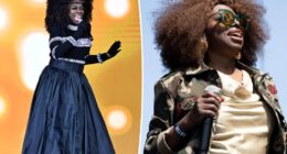 Angie Stone died while escaping car wreck, family reveals in new lawsuit