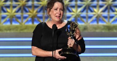 Ann Dowd Net Worth