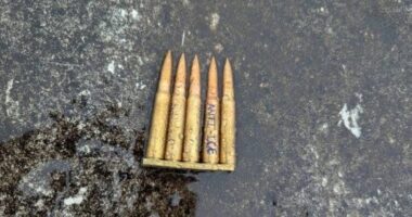 'Anti-ICE' Messages Found on Rounds After Deadly Sniper Attack.