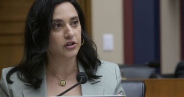 Arizona Democrat Lawmaker Calls Illegal Aliens Her 'Constituents'—Then Doubles Down – RedState