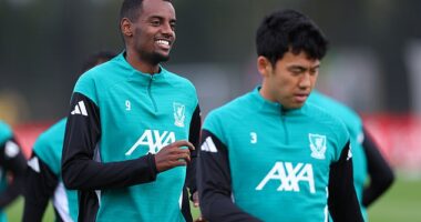 Alexander Isak could make his Liverpool debut in the Champions League on Wednesday
