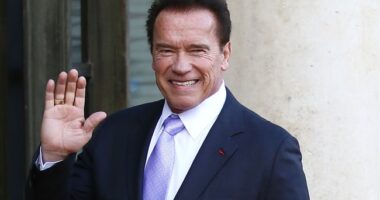 Arnold Schwarzenegger Comes Out Swinging Against Prop 50, Newsom's and Democrats' Redistricting 'Scam' – RedState