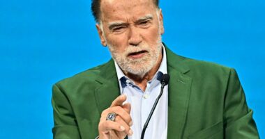 Arnold Schwarzenegger pushes back against Trump’s UN comments calling climate change a ‘con job’