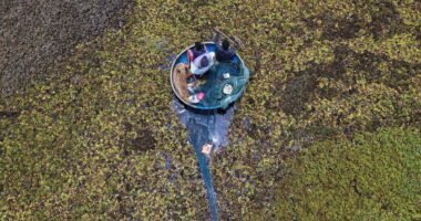 As climate risks grow, India's Bengaluru is trying to save its vanishing lakes