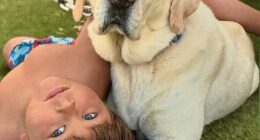 Maxwell Haworth, 5, was climbing on rocks at Rincon Beach in Ventura, California when he slipped, dislodging a boulder that fatally struck him