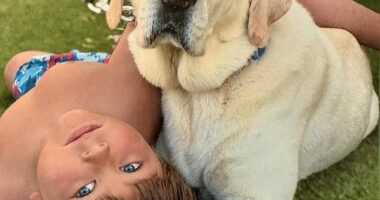 Maxwell Haworth, 5, was climbing on rocks at Rincon Beach in Ventura, California when he slipped, dislodging a boulder that fatally struck him