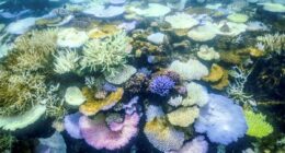 Australia sets ambitious 2035 climate target and pledges billions for clean energy