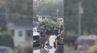 Before Attack On ICE, NBC Ran ICE-Holds-Child-Hostage Hoax