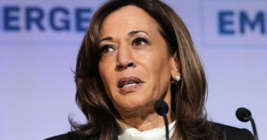 Biden 'Reckless' to Run Again, Says ... Kamala Harris – HotAir