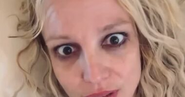 A bizarre new conspiracy theory about Britney Spears is being spread online by a group of fans who believe that the pop star has been replaced by body doubles and AI on social media