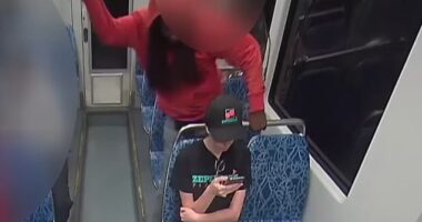 Horrific footage captured the moment Ukrainian refugee Iryna Zarutska, 23, was stabbed to death from behind as she sat on a train in North Carolina