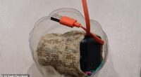Pictured is the 'suspicious item' found at the Arundel mosque on Sunday