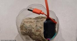 Pictured is the 'suspicious item' found at the Arundel mosque on Sunday