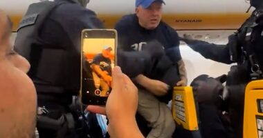 Chaotic footage shared on social media captured the scenes on board the flight which saw officers storming on to the plane