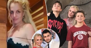 Britney Spears is home alone, fragile and refusing help: Sources