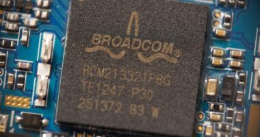 Broadcom is starting to look ‘eerily reminiscent’ of Nvidia. Both stocks are feeling the impact.