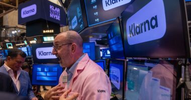 Business news live: Klarna shares soar after huge IPO, Elon Musk regains richest person tag - but only just
