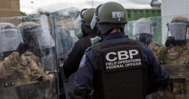 CBP Seizes $238K of Narcotics at Border Pass.