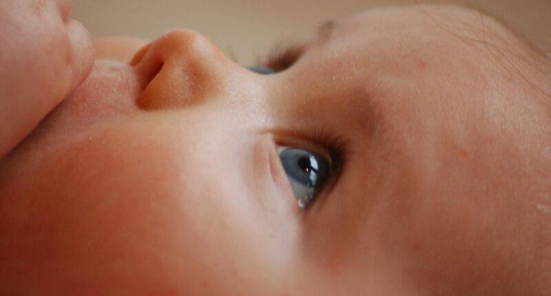 CEO Of Surrogacy Firm Uses Fertility Tech To Avoid 'Ugly' Kids