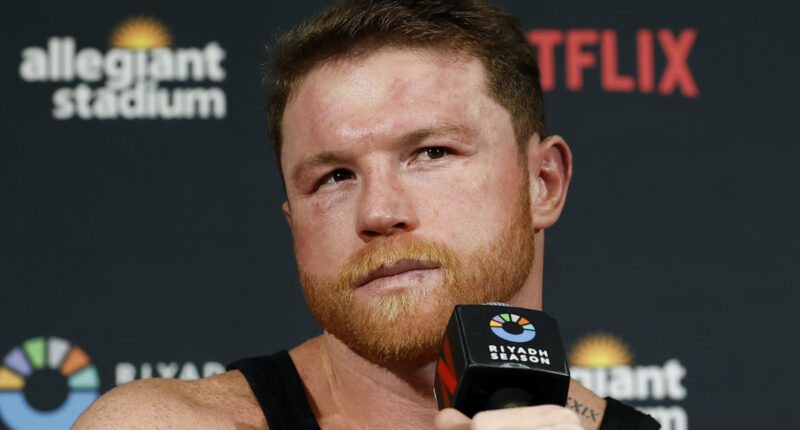 Canelo Alvarez Gets Clear Message to Floyd Mayweather Jr.