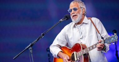 Cat Stevens has been forced to cancel his latest tour due to delays in securing his visa