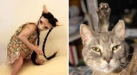 “Cats Are Aliens”: 80 Pics Of Cats That Just Might Prove They’re From Another Planet