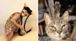 “Cats Are Aliens”: 80 Pics Of Cats That Just Might Prove They’re From Another Planet