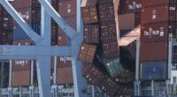 At least 50 cargo containers slipped off the Mississippi cargo ship at the Port of Long Beach on Tuesday