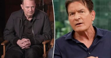 Charlie Sheen claims he 'could tell' Matthew Perry 'wasn't sober' a year before his death