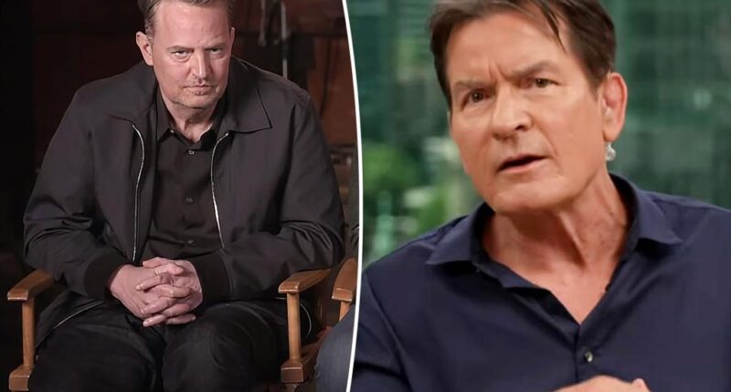 Charlie Sheen claims he 'could tell' Matthew Perry 'wasn't sober' a year before his death