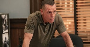 'Chicago P.D.' Season 13 Premiere Images Finally Reveal the Fate of Intelligence Unit