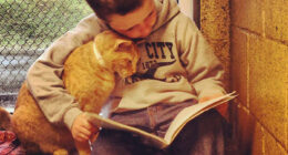 Children Read To Shelter Cats In The Heart-melting “Book Buddies” Program